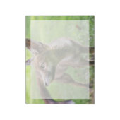 Bloc-note Animaux de bébés cutest | Fox urbain (Tourné)
