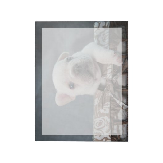 Bloc-note Animaux de bébés cutest | French Bulldog (Tourné)
