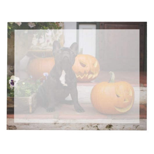 Bloc-note Animaux de bébés cutest | French Bulldog Halloween (Devant)