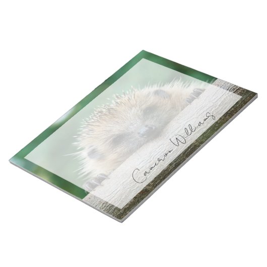 Bloc-note Animaux de bébés cutest | Hedgehog Smile (Incliné)