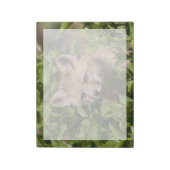 Bloc-note Animaux de bébés cutest | Kit Fox (Tourné)