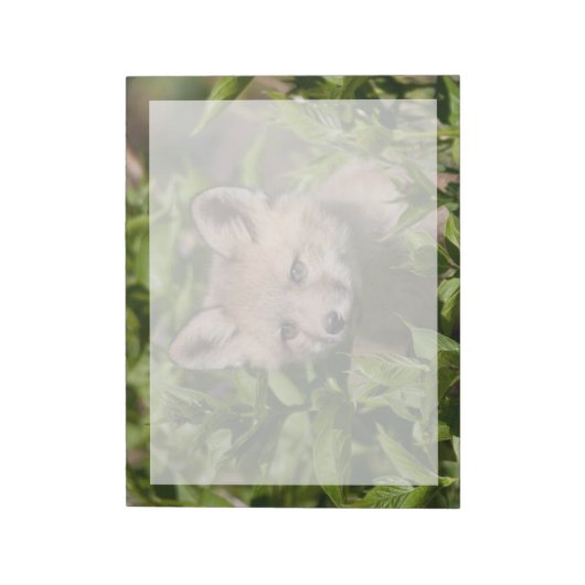 Bloc-note Animaux de bébés cutest | Kit Fox (Tourné)