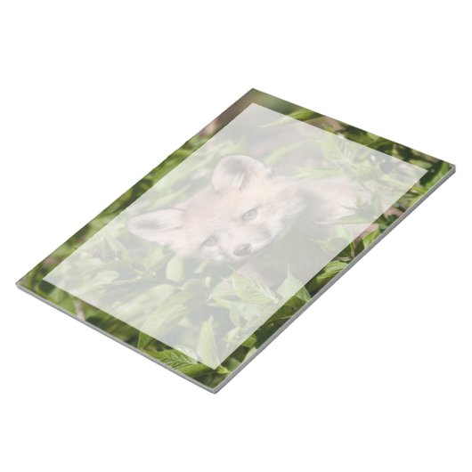 Bloc-note Animaux de bébés cutest | Kit Fox (Incliné)