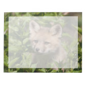 Bloc-note Animaux de bébés cutest | Kit Fox (Devant)