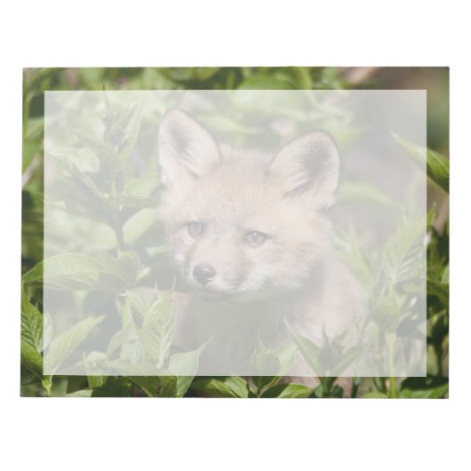 Bloc-note Animaux de bébés cutest | Kit Fox (Devant)