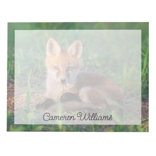 Bloc-note Animaux de bébés cutest | Kit Red Fox Relaxant (Devant)