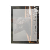 Bloc-note Animaux de bébés cutest | Kitten dans le panier (Tourné)