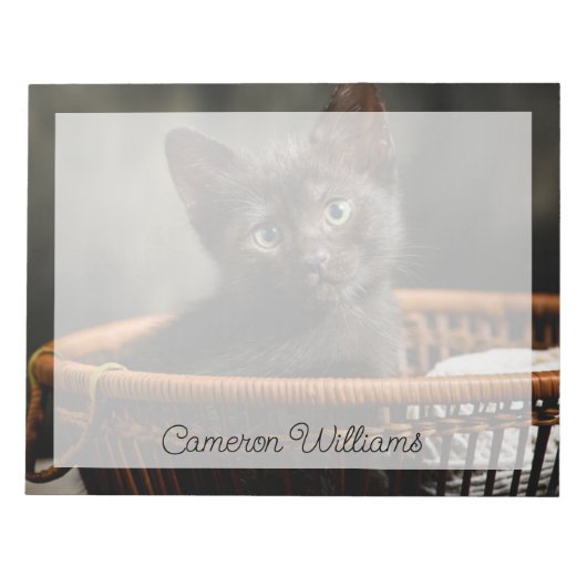 Bloc-note Animaux de bébés cutest | Kitten dans le panier (Devant)