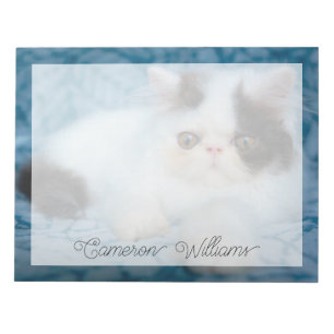 Bloc-note Animaux de bébés cutest Kitten noir et blanc