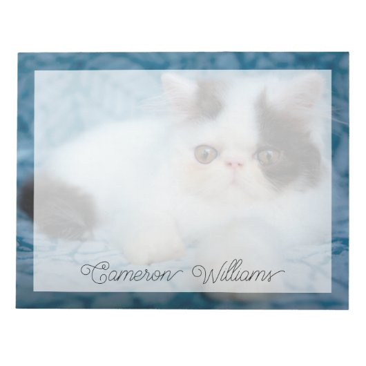 Bloc-note Animaux de bébés cutest | Kitten noir et blanc (Devant)