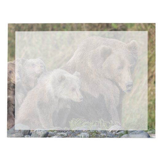 Bloc-note Animaux de bébés cutest | Kodiak Mama Bear & Cubs (Devant)