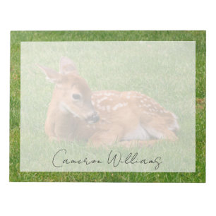 Bloc-note Animaux de bébés cutest   Little Fawn