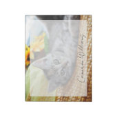 Bloc-note Animaux de bébés cutest | Lounge Kitten (Tourné)