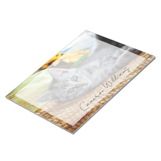 Bloc-note Animaux de bébés cutest | Lounge Kitten (Incliné)