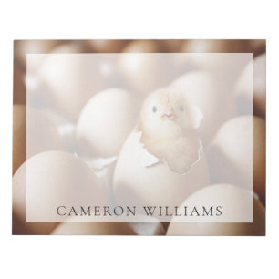 Bloc-note Animaux de bébés cutest Nouveau bébé poussin