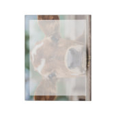 Bloc-note Animaux de bébés cutest | Petite vache (Tourné)