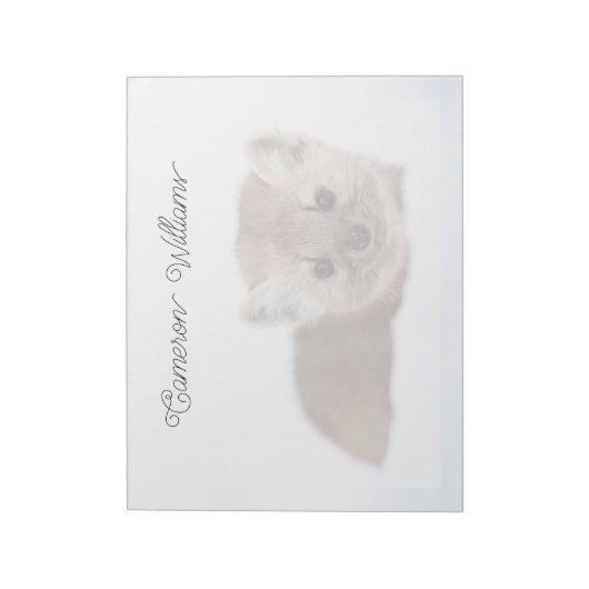 Bloc-note Animaux de bébés cutest | Pine Marten (Tourné)