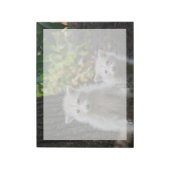 Bloc-note Animaux de bébés cutest | Raccoons jeunes blonds (Tourné)