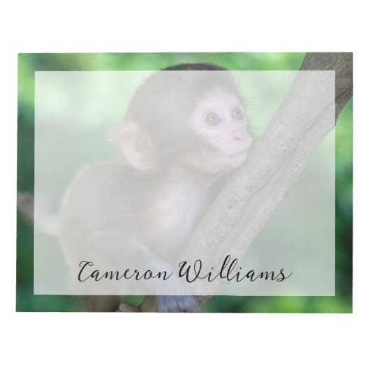 Bloc-note Animaux de bébés cutest | Singe bébé (Devant)