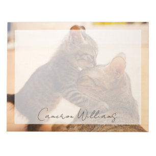Bloc-note Animaux de bébés cutest Tabby Kitten Kiss