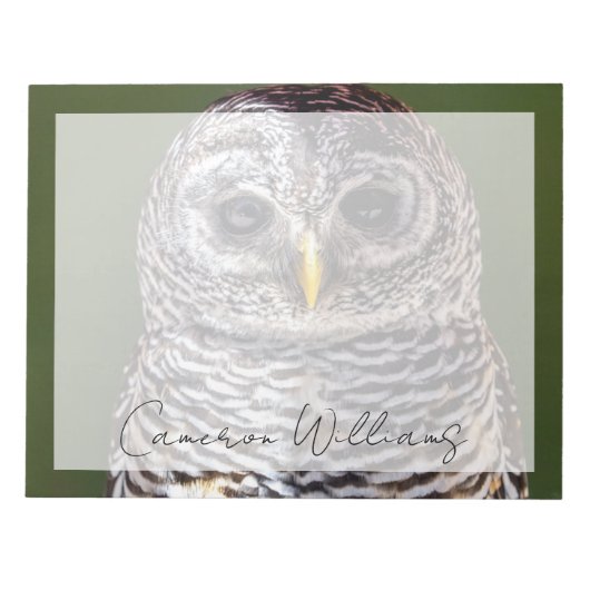 Bloc-note Animaux de bébés cutest | Tawny Owl (Devant)