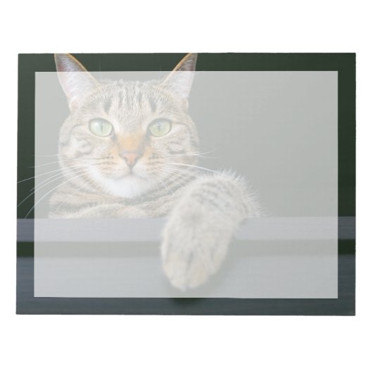 Bloc-note Animaux de bébés cutest | Tête de chat gris Tabby (Devant)