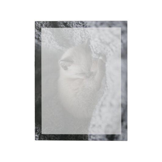 Bloc-note Animaux de bébés cutest | Tiny Kitten Dormir (Tourné)