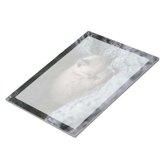 Bloc-note Animaux de bébés cutest | Tiny Kitten Dormir (Incliné)