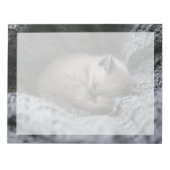 Bloc-note Animaux de bébés cutest | Tiny Kitten Dormir (Devant)