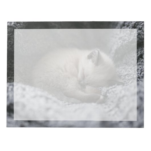 Bloc-note Animaux de bébés cutest | Tiny Kitten Dormir (Devant)