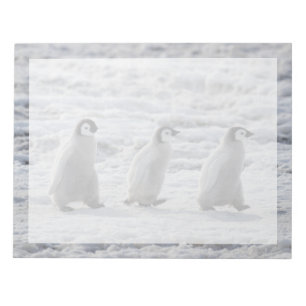 Bloc-note Animaux de bébés cutest Trois Épouses Penguin Em