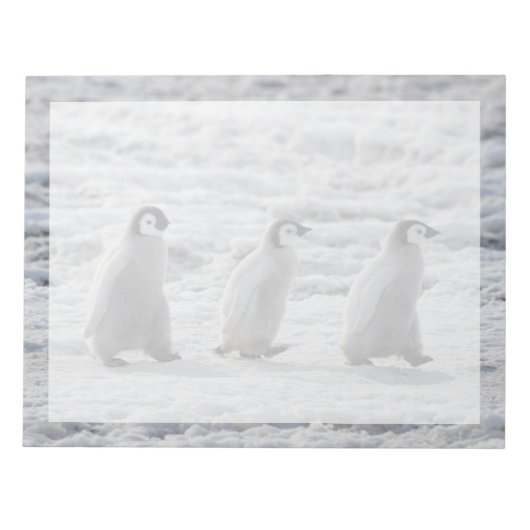 Bloc-note Animaux de bébés cutest | Trois Épouses Penguin Em (Devant)