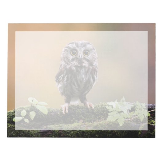 Bloc-note Animaux de bébés cutest | Un hibou-bébé (Devant)