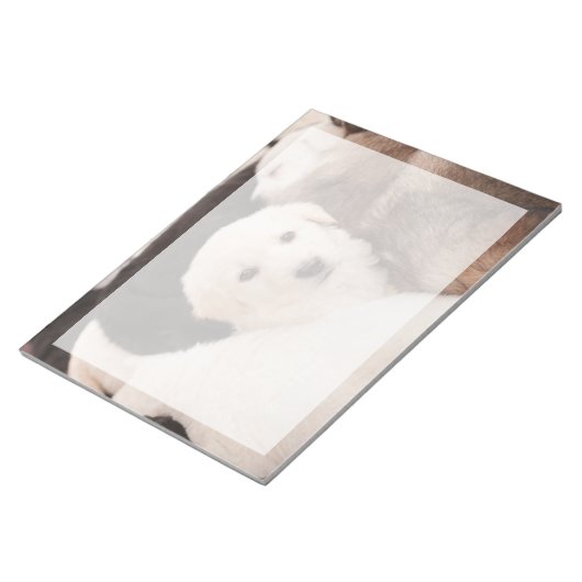 Bloc-note Animaux de bébés cutest | Un mignon seau de chiots (Incliné)