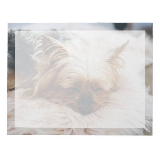 Bloc-note Animaux de bébés cutest | Yorkshire Terrier (Devant)