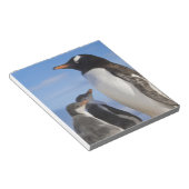 Bloc-note Antarctique, Anse Neko. Manchot gentoo 2 (Incliné)