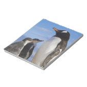 Bloc-note Antarctique, Anse Neko. Manchot gentoo 2 (Tourné)
