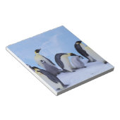 Bloc-note Antarctique, Emporer Penguins (Incliné)