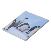 Bloc-note Antarctique, Emporer Penguins (Tourné)