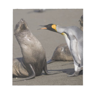 Bloc-note Antarctique, île de Géorgie du Sud (Royaume-Uni),