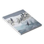 Bloc-note Antarctique, île Paulet. Pingouins d'Adelie (Incliné)