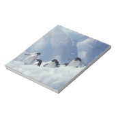 Bloc-note Antarctique. Manchots Adélie (Tourné)