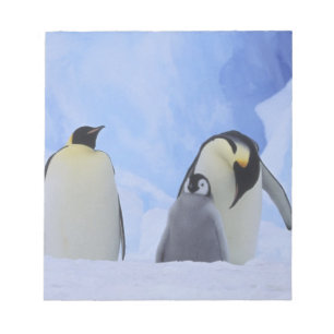 Bloc-note Antarctique. Manchots empereurs et poussin