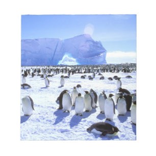 Bloc-note Antarctique, péninsule Antarctique, mer de Weddell
