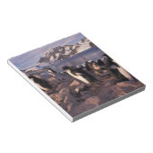 Bloc-note Antarctique, poussins de pingouin d'Adelie (Incliné)