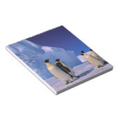 Bloc-note Antarctique, Territoire antarctique australien, 7 (Incliné)
