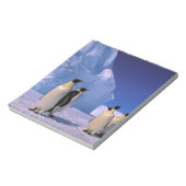 Bloc-note Antarctique, Territoire antarctique australien, 7 (Tourné)