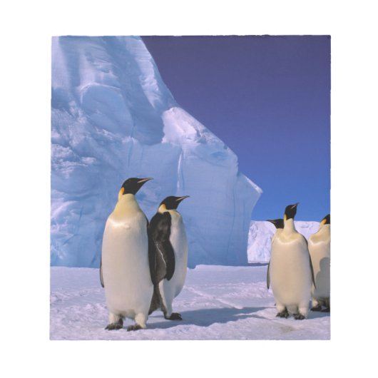 Bloc-note Antarctique, Territoire antarctique australien, 7 (Devant)