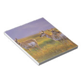 Bloc-note Antilope d'Amérique dans le Montana (Incliné)