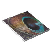Bloc-note Antique Hues Peacock Feather Eye (Incliné)